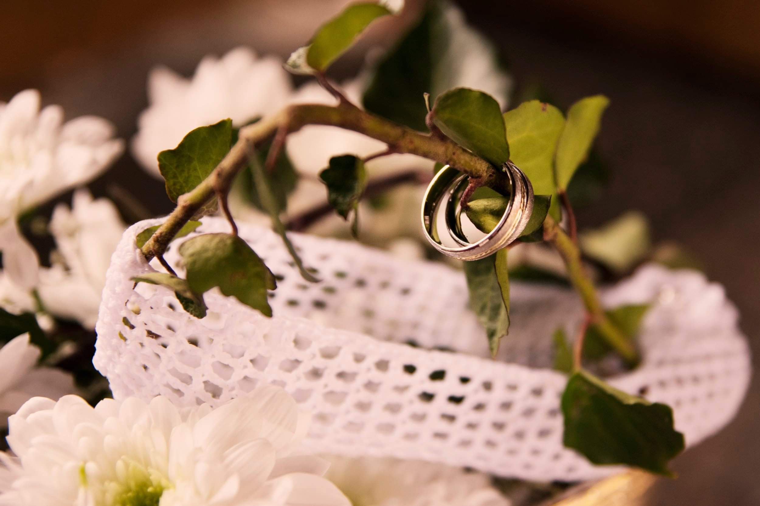 Svatební fotografie 3